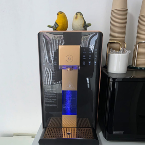 Puredien Hydro-One Hydrogen-Rich Water System